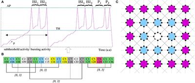 Implementing Signature Neural Networks with Spiking Neurons